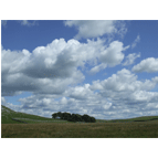 Thumbnail version of landscapes4.gif